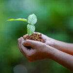 Sophie Polley-Rappasse